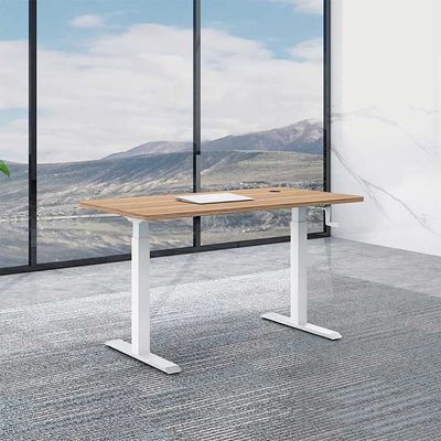1.6M Electric Sit Stand Desk Tavolo ergonomico di sollevamento