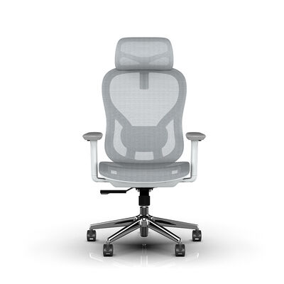 Sedia da ufficio ergonomica moderna grigio antracite con rete completa, braccioli regolabili 4D e poggiatesta 2D