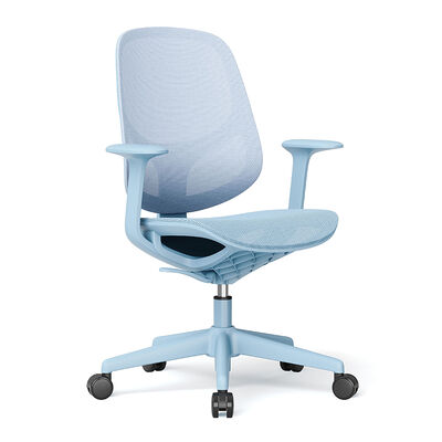 Sedia da Ufficio Ergonomica in Rete con Schienale Traspirante in Rete, Sollevatore a Gas da 100mm e Base a Cinque Stelle in PP da 330mm